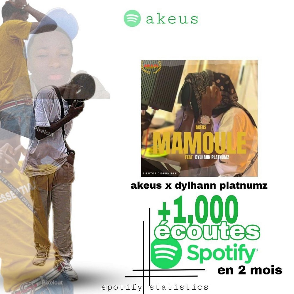 1000 streams sur spotify en 1mois.
